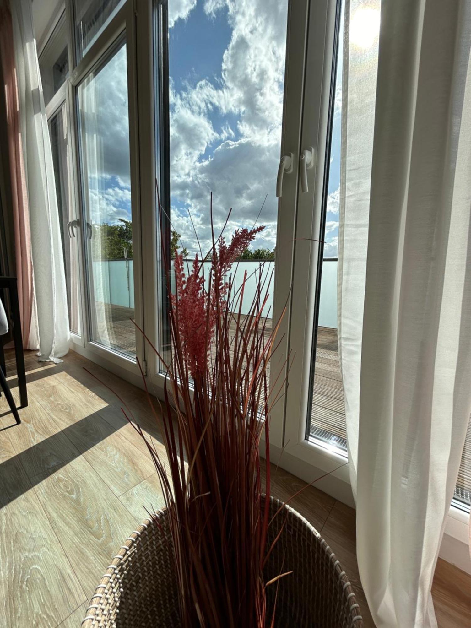 Micasa Ol - Modernes Penthouse - Stellplatz - Kueche - Wlan - Dachterrasse Διαμέρισμα Όλντεμπουργκ Εξωτερικό φωτογραφία